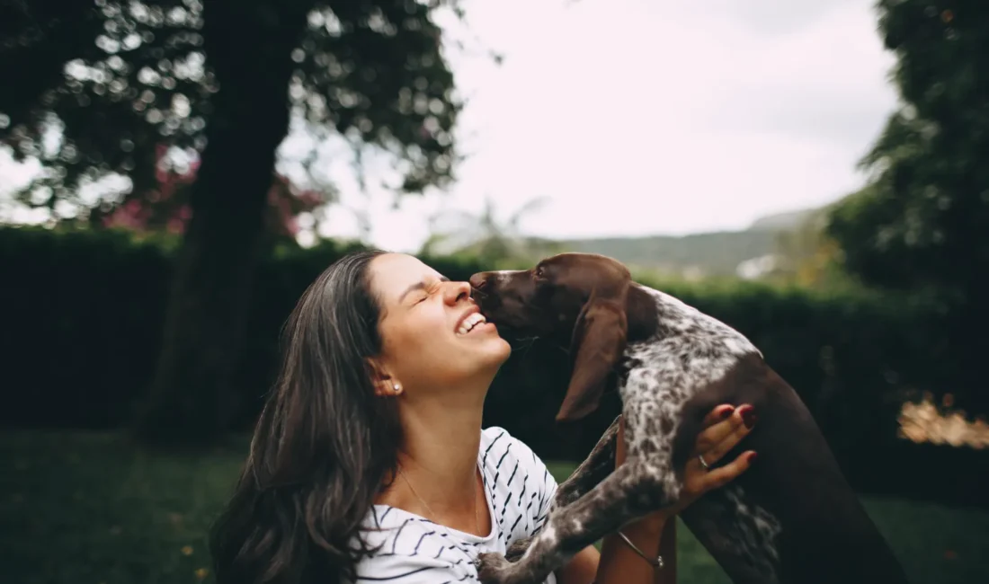 Un chien brun et blanc lèche le visage d’une femme qui le tient dans ses bras, dans un jardin.